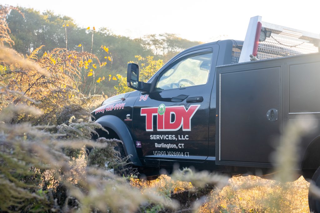 Tidy Services pickup truck in the Northeast