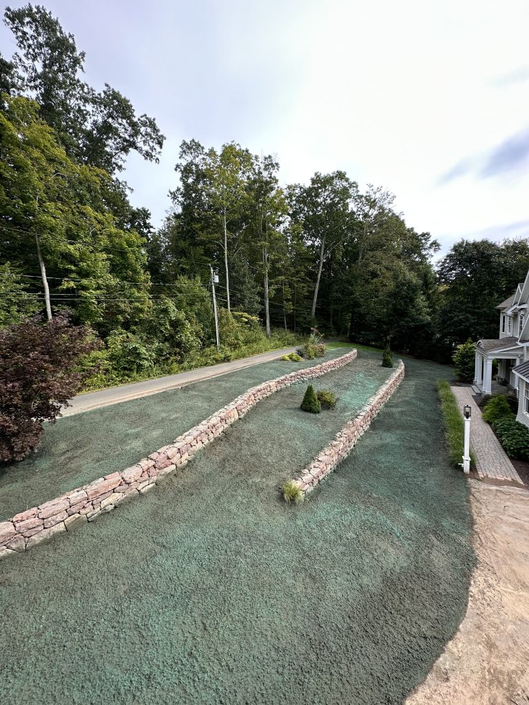 Freshly hydroseeded lawn by Tidy Services in Burlington, CT
