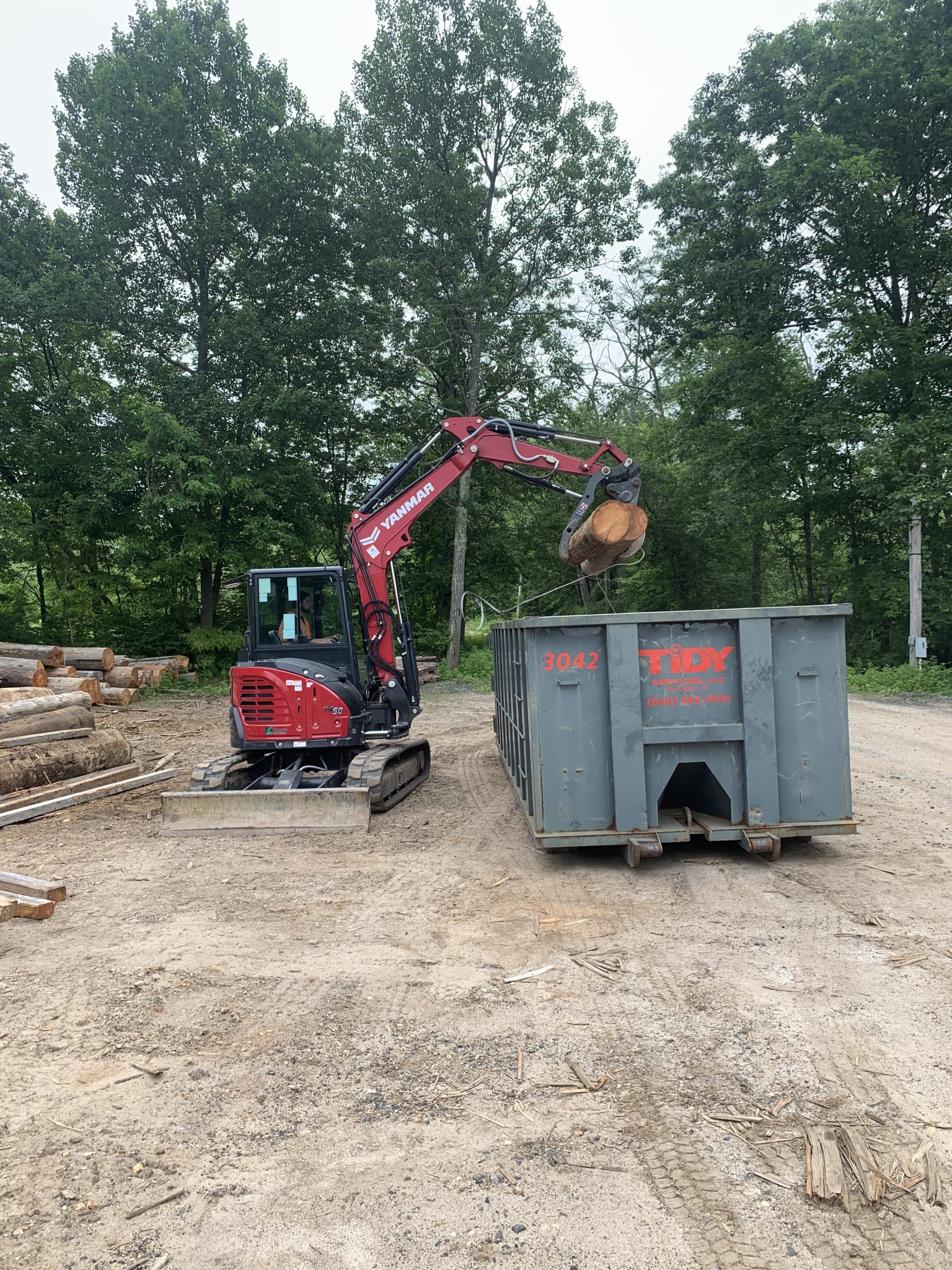 Dumpster rental through Tidy Services