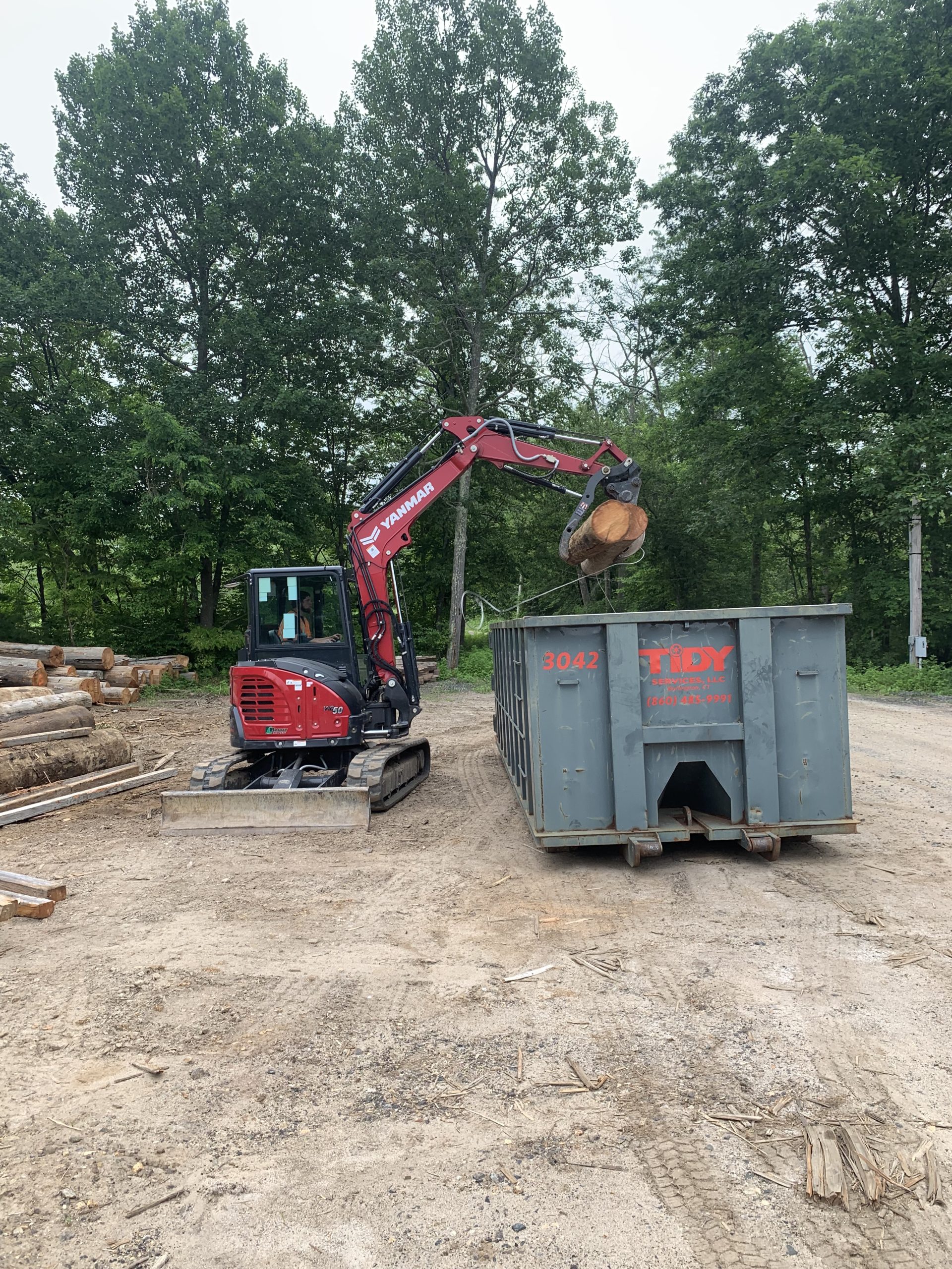Dumpster rental through Tidy Services